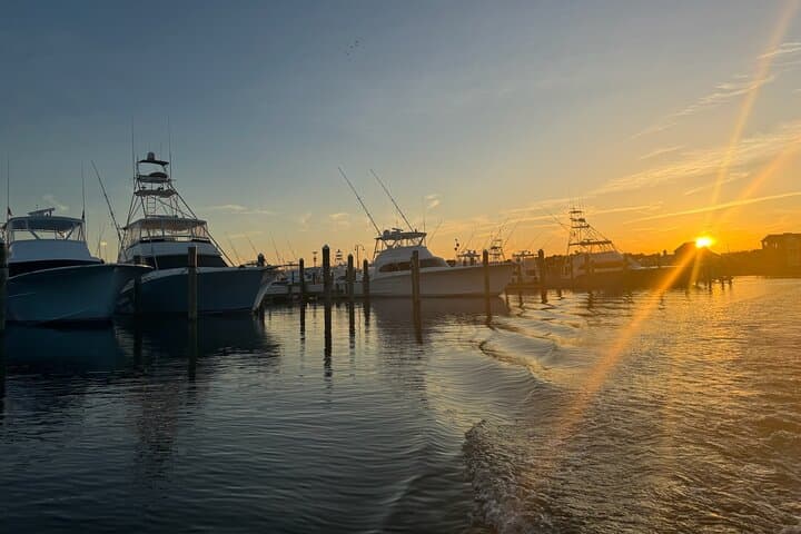 Back Bay Sunset Cruise in Ocean City — 75-Minute Private Party Charter photo 4