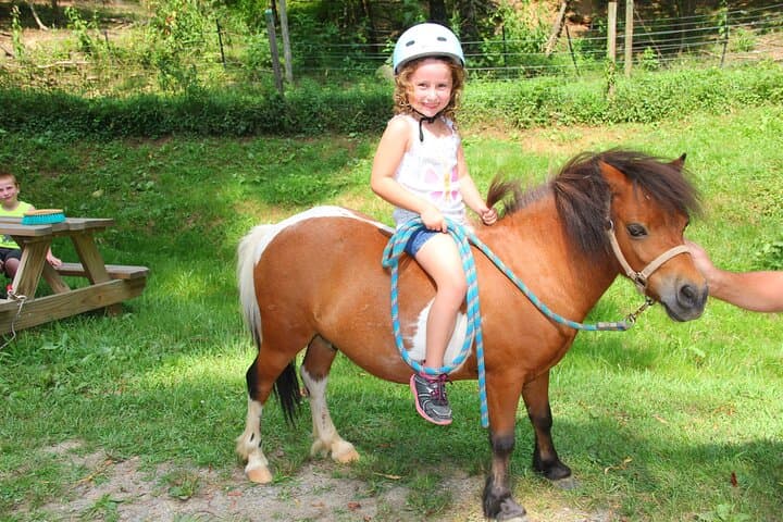 Mini Pony Ride Children Mini Horse Rides in the Smoky Mountains — Family-Friendly ...