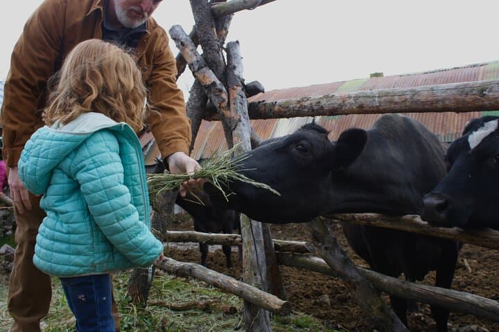 Private Tour at Historic Alaska Dairy Farm — Sun Fire Ridge Experience photo 2