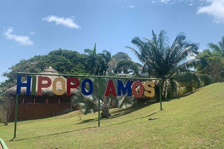 Hacienda Nápoles Ranch Tour — Hippos, History and Antioquian Countryside photo 4