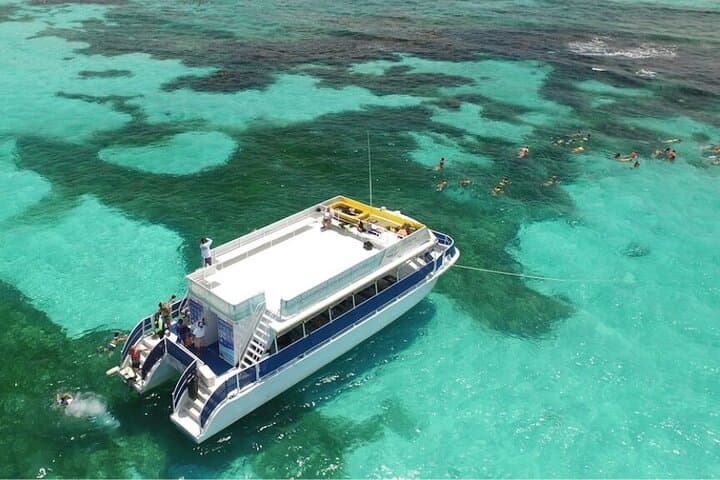 Isla Contoy Day Trip: Snorkel El Meco Reef and Birdwatching from Cancún photo 4