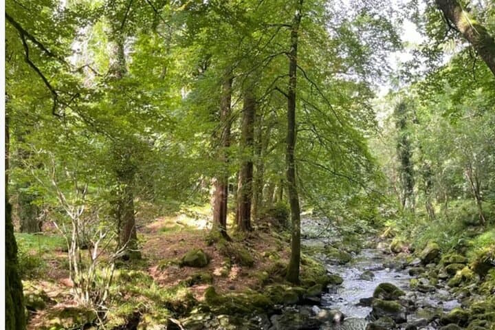 Private Day Tour: Blarney Castle, Killarney & Kenmare — Cork to Kerry Coastal Views photo 5