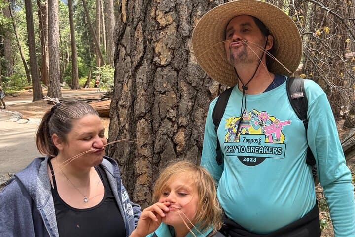 Evolution of Yosemite: 3-Hour Naturalist Walking Tour in Yosemite Valley