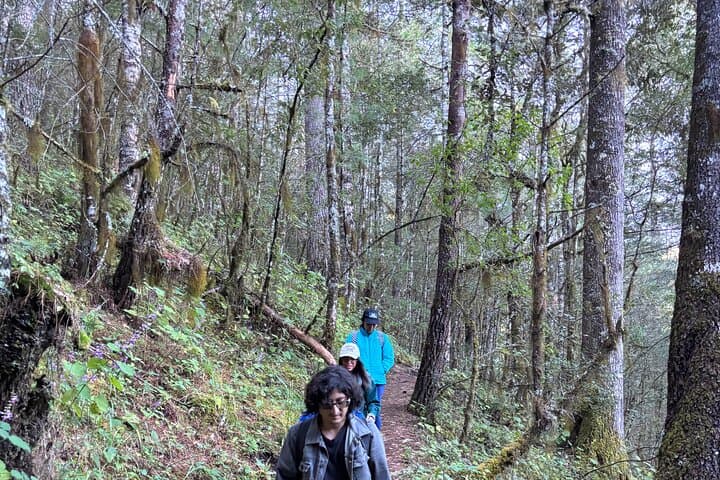 Zapotec-mountains-hike-hot-chocolate-santa-catarina-ixtepeji photo 6