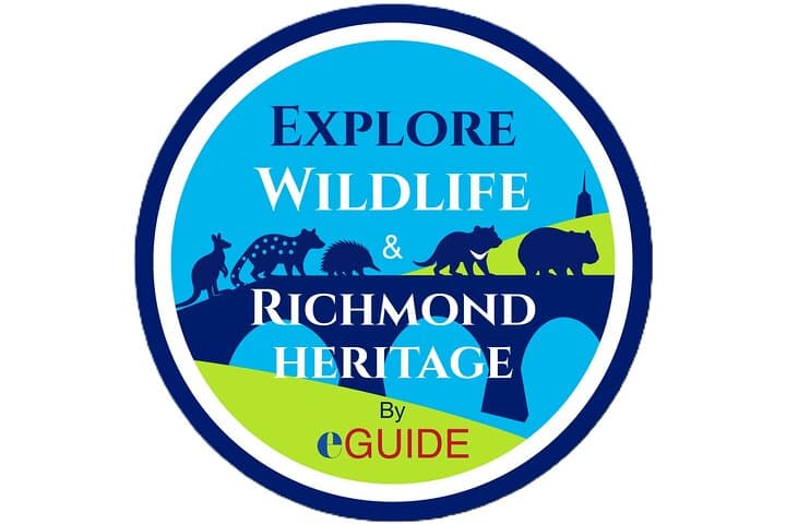 Bonorong Wildlife and Richmond Heritage Day Tour from Hobart