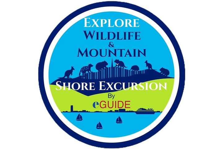 Tasmanian Wildlife and Mount Wellington Day Trip from Hobart photo 1