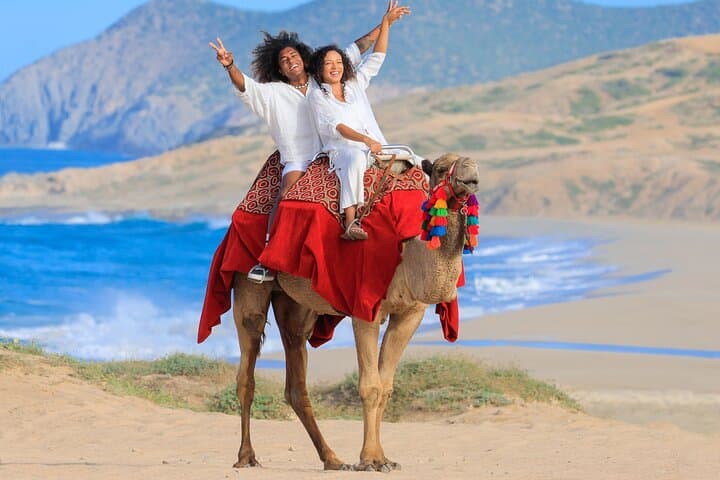 Cabo UTV and Camel Ride Combo: Baja Desert and Beach Adventure photo 5