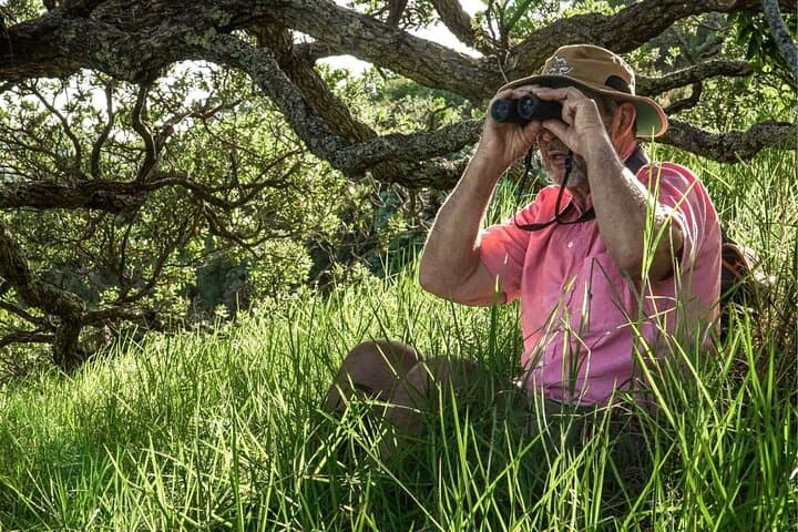 Waiheke Island Private Birding Tour: Spot Native and Seabirds on a Guided Walk