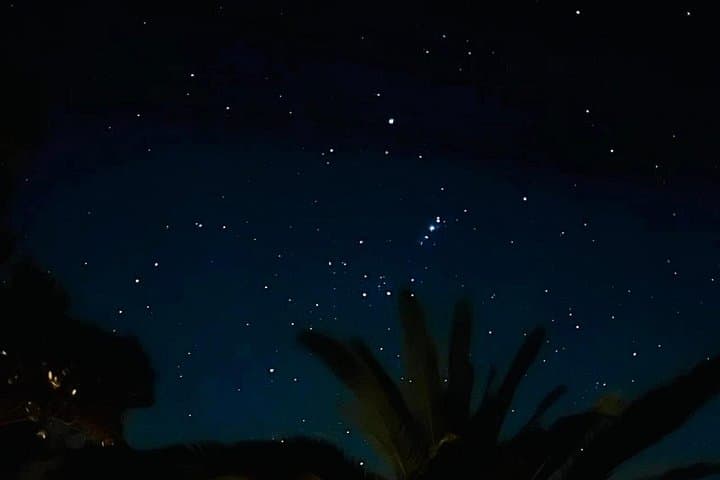 Waiheke Private Stargazing Night Walk — Southern Sky Telescope Tour photo 3