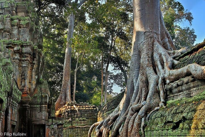 Full-Day Guided Sunset Tour of Angkor Wat — Angkor Wat, Ta Prohm & Phnom Bakheng Sunset photo 3