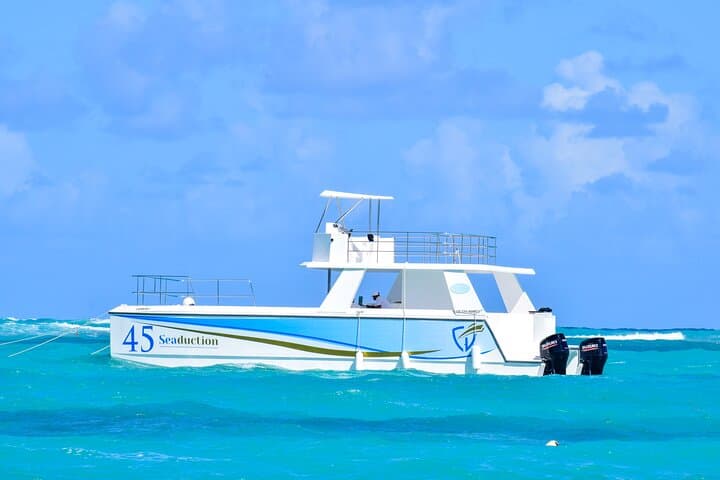 Punta Cana Private Boat Tour with Open Bar and BBQ — Catamaran Snorkel, Sandbar & Grill photo 4