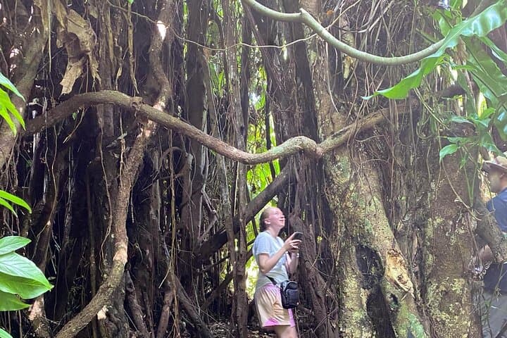 Efate Highlights: Local Village Walk, Tanna Coffee Tasting & Beach Chill photo 2