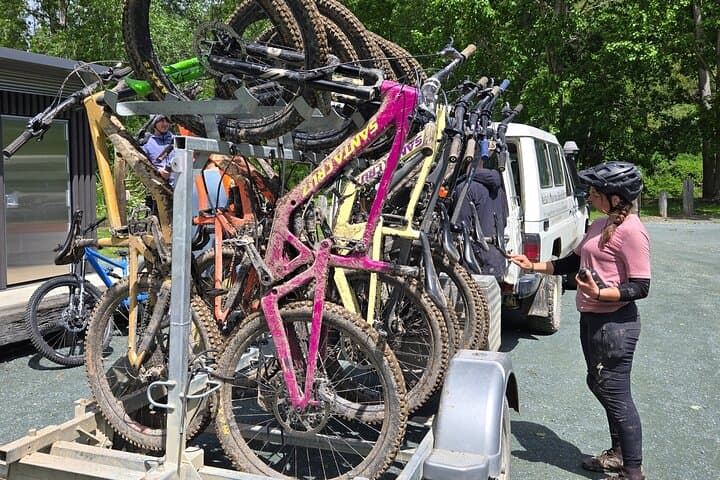 Nelson Private Half-Day Mountain Bike Shuttle — Tailored Shuttle Runs on Cable Bay & Fringed Hill photo 3
