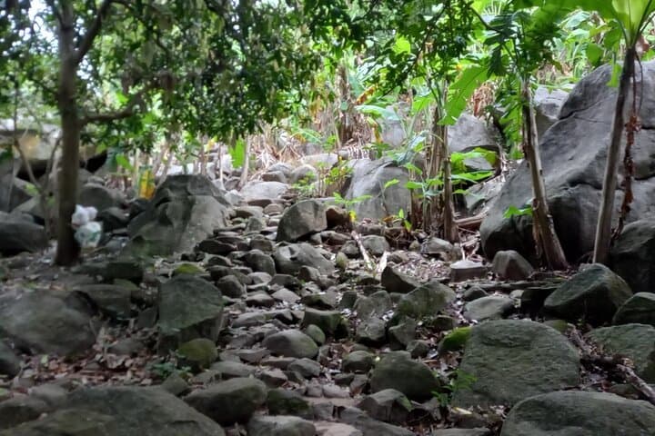 Day Hike Ba Den Mountain: Summit Trek from Ho Chi Minh City to Vietnam’s Highest Peak in the Southeast photo 5