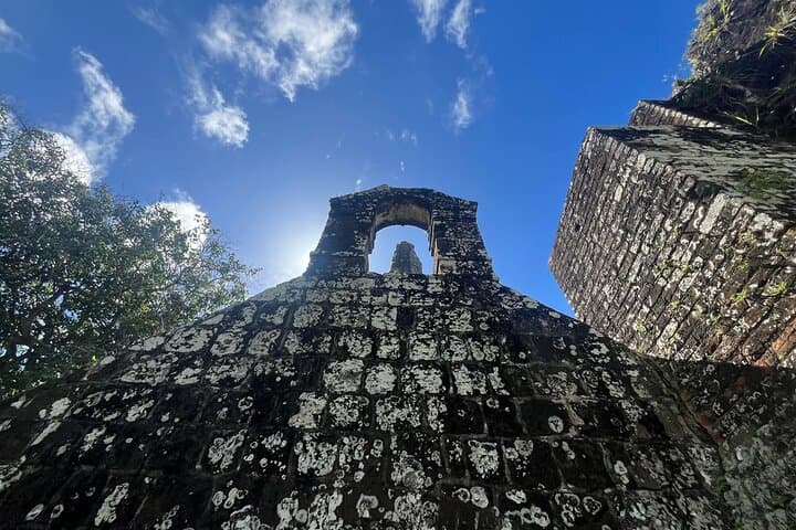 Wingfield Rainforest Hike and Romney Manor: St Kitts Forest Bathing & Cultural Tour photo 4