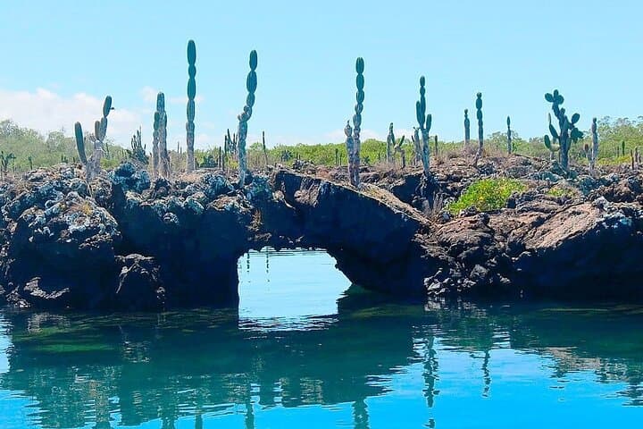 8-Day Galapagos Island Hopping for Divers — Diving, Snorkeling & Wildlife photo 5