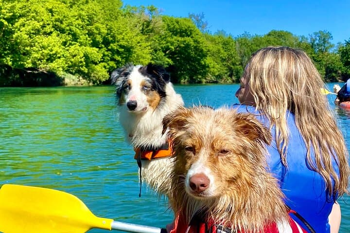 Guided Kayak and Paddle Tour on the Hérault River — Saint-Thibéry Excursion photo 4
