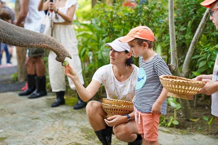 Feed Me Bananas: Ethical Elephant Feeding at Bukit Elephant Park, Phuket