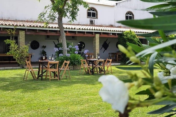 Chiclana de la Frontera Winery Tour with Lunch from Cádiz — Bodega Manuel Aragón Experience photo 2