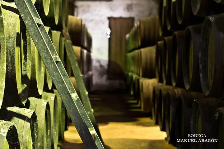 Chiclana de la Frontera Winery Tour with Lunch from Cádiz — Bodega Manuel Aragón Experience photo 3
