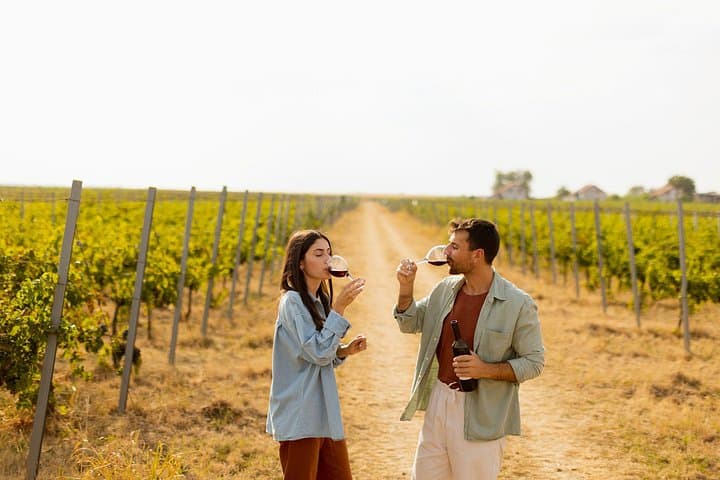 Chiclana de la Frontera Winery Tour with Lunch from Cádiz — Bodega Manuel Aragón Experience