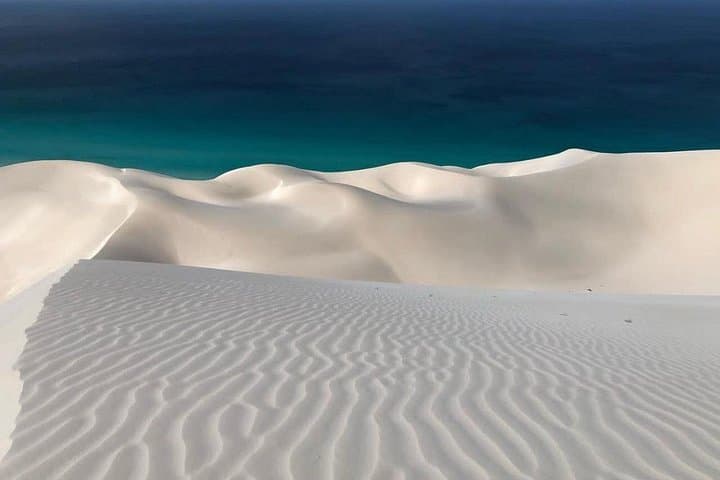 8-Day Socotra Island Expedition — Dragon Blood Trees, Caves & Coastal Lagoons photo 2