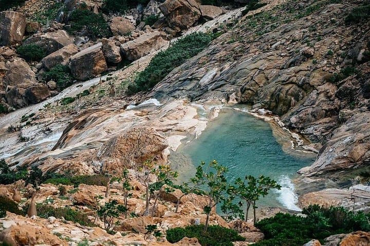 8-Day Socotra Island Expedition — Dragon Blood Trees, Caves & Coastal Lagoons photo 4