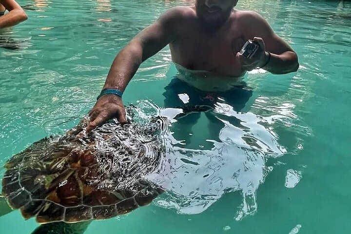 Jozani Forest and Sea Turtles Sanctuary Tour — Zanzibar Wildlife & Cultural Day Trip photo 4