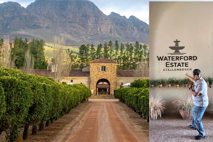 Cape Town Pinotage Private Wine Tour in Stellenbosch photo 6