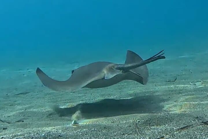 Discover Scuba Diving at Amathus Ruins — Limassol Beginner Dive