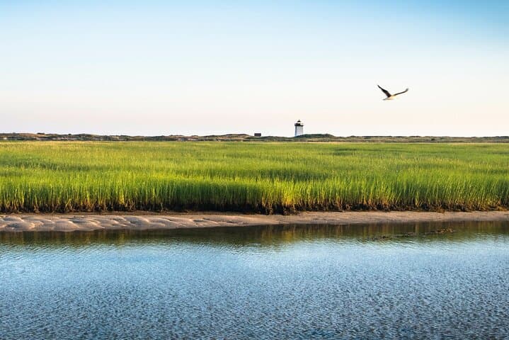 Cape Cod National Seashore Tour and Beech Forest Hike from Provincetown