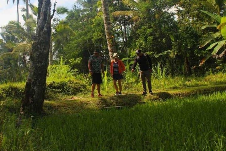 Ubud Balinese Village Life: Organic Farm Dinner & Firefly Night in Taro photo 2