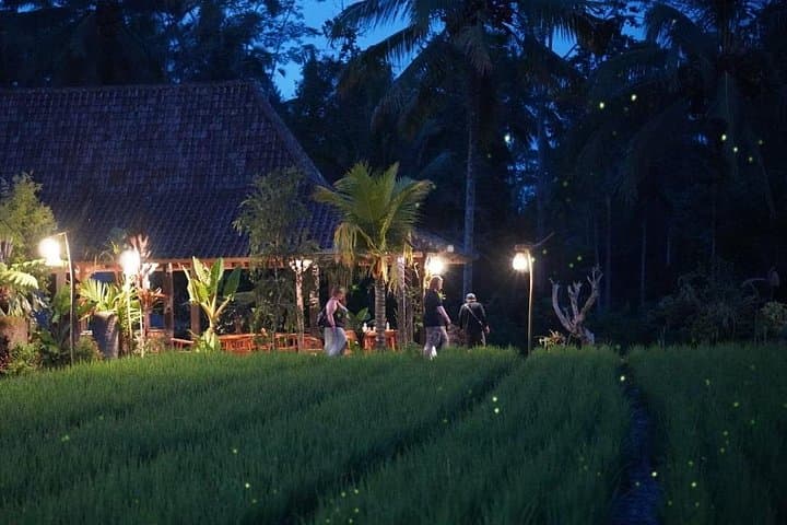 Ubud Balinese Village Life: Organic Farm Dinner & Firefly Night in Taro photo 1