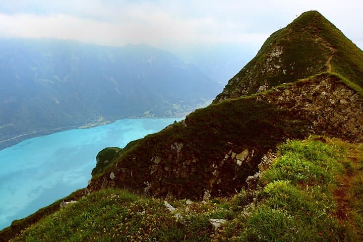 Augstmatthorn Day Hike from Interlaken: Lake Brienz Views & Alpine Wildlife photo 3