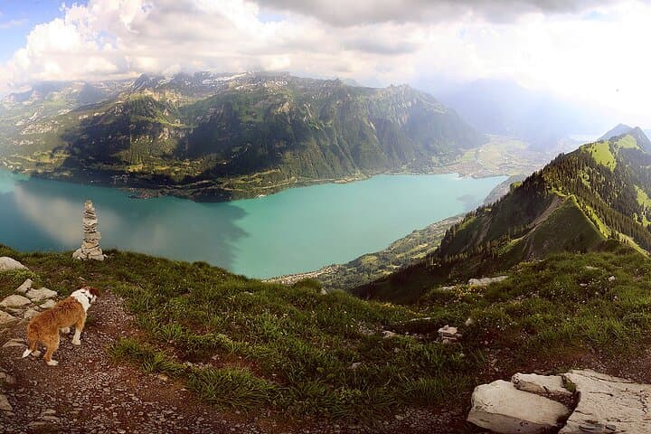 Augstmatthorn Day Hike from Interlaken: Lake Brienz Views & Alpine Wildlife photo 4