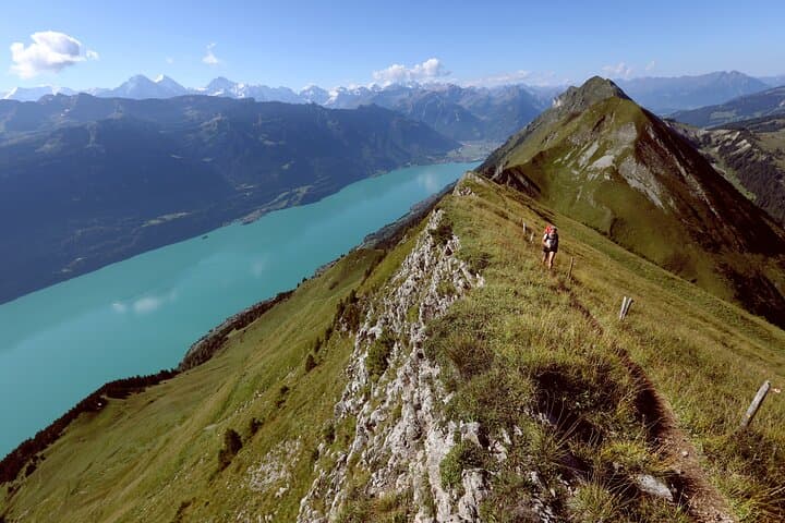 Augstmatthorn Day Hike from Interlaken: Lake Brienz Views & Alpine Wildlife photo 5