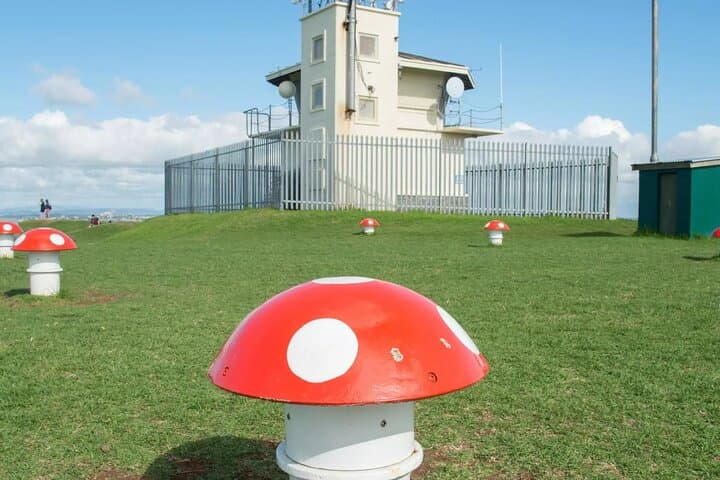 Devonport Self-Guided Audio Tour: Mount Victoria, Heritage and Harbour Views photo 6
