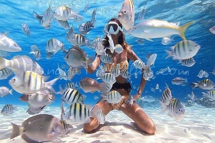 White Island & Ras Mohamed: Full-Day Snorkeling from Sharm El-Sheikh photo 4