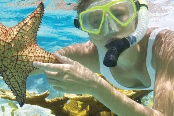 White Island & Ras Mohamed: Full-Day Snorkeling from Sharm El-Sheikh photo 6