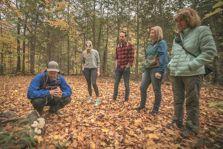 Canopy Tour at Haliburton Forest: Walk the World's Longest Treetop Boardwalk photo 3