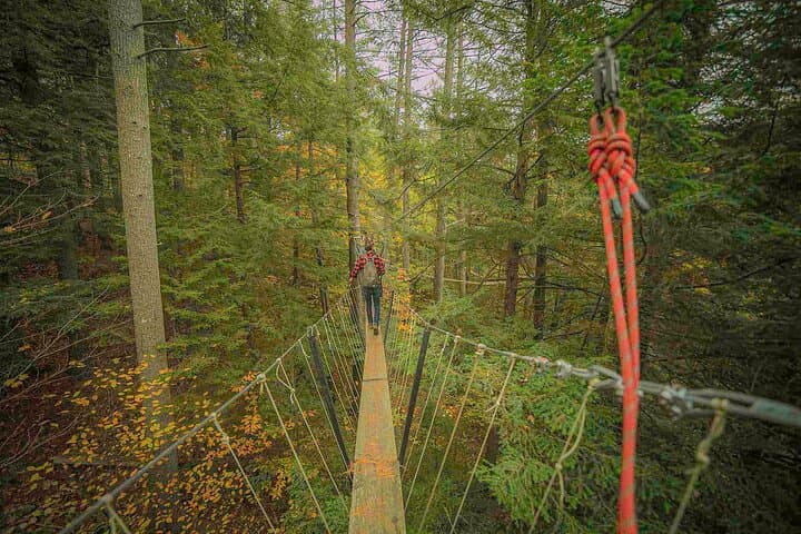 Canopy Tour at Haliburton Forest: Walk the World's Longest Treetop Boardwalk photo 2
