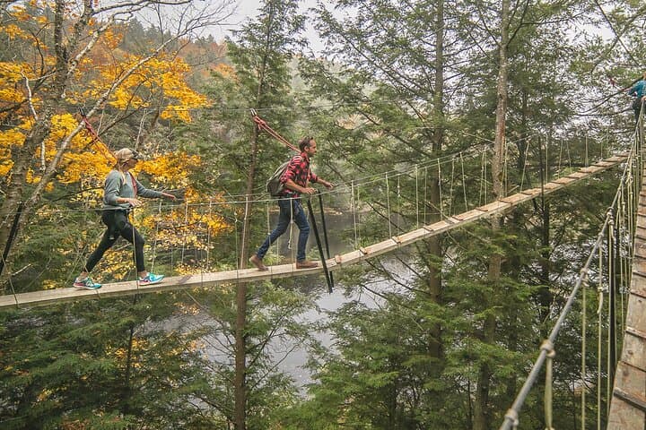 Canopy Tour at Haliburton Forest: Walk the World's Longest Treetop Boardwalk photo 6