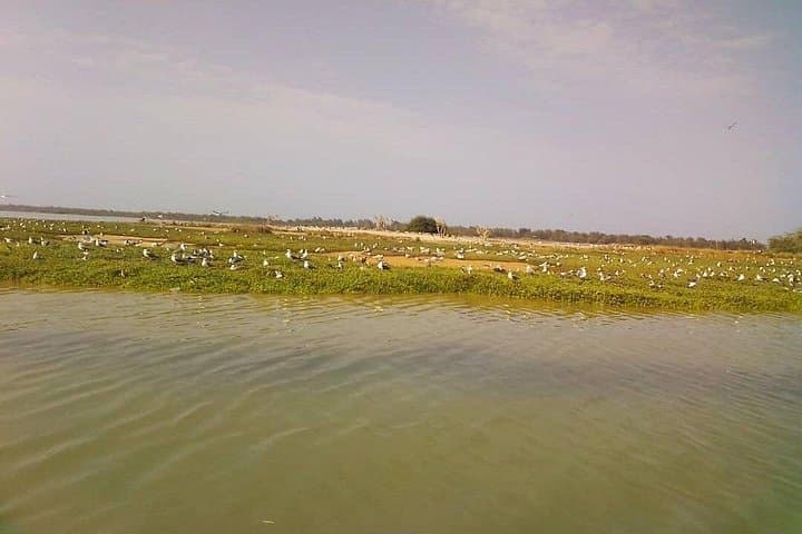 Senegal Highlights: 8-Day Dakar to Lompoul Desert & Bandia Safari photo 3