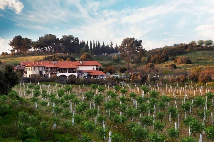 Kuşadası Shore Excursion: Private Wine Tasting, Weaving Cooperative & Ephesus Highlights photo 5