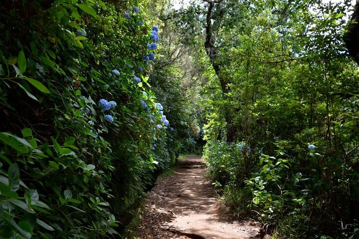Levada to Caldeirão Verde: Queimadas' Iconic Waterfall Hike photo 6