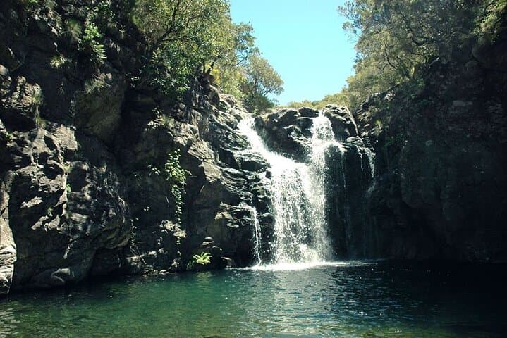 Levada do Alecrim (Wind Lagoon) Hike — Madeira’s West Plateau Walk photo 3
