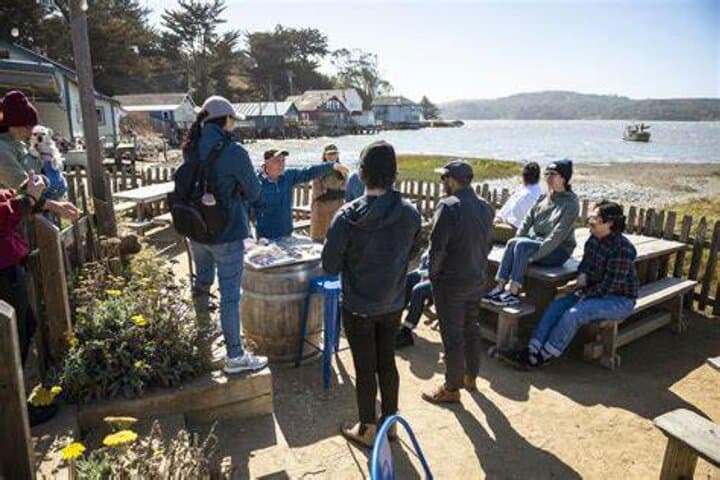 5-Day California Vineyards, Waves & Bioluminescent Kayak Tour photo 2