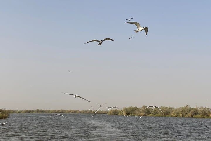Dakar to Lompoul Desert: 3-Day Pink Lake, Saint-Louis & Djoudj Bird Park Adventure photo 3