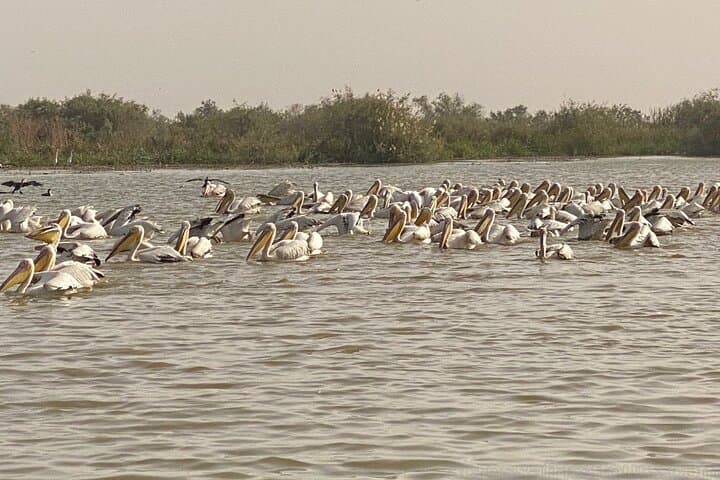 Dakar to Lompoul Desert: 3-Day Pink Lake, Saint-Louis & Djoudj Bird Park Adventure photo 5