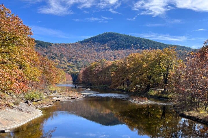 Vermont Fall Foliage Private Tour: Scenic Back-Roads, Covered Bridges & Summit Views photo 3